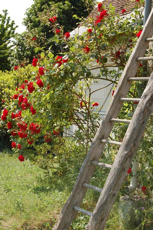 مبيت وإفطار Savonnières La Grange المظهر الخارجي الصورة
