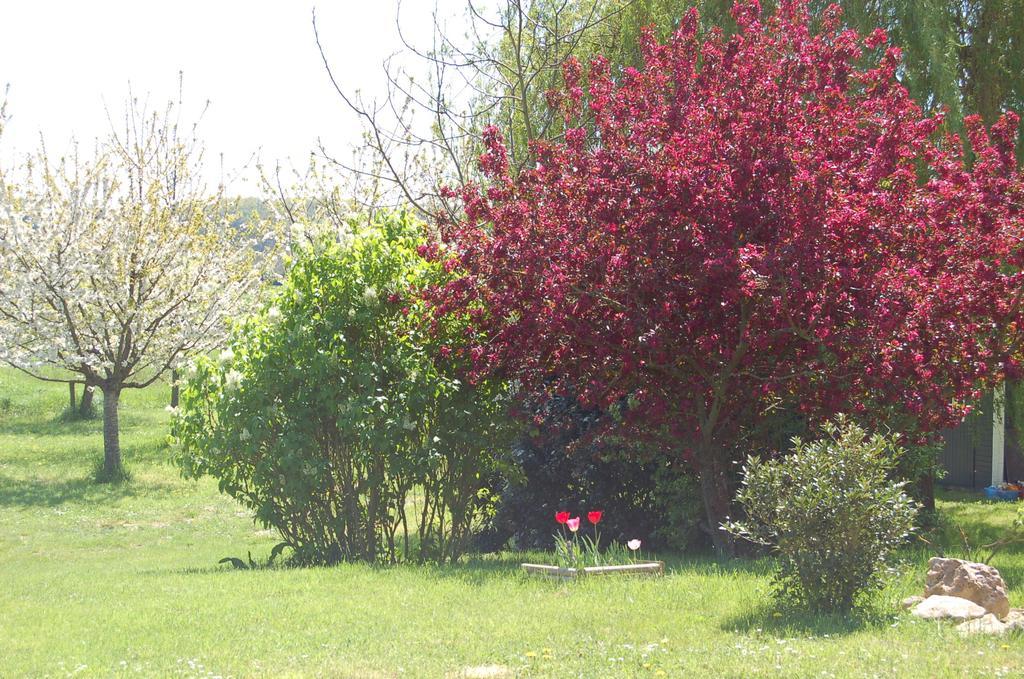 مبيت وإفطار Savonnières La Grange المظهر الخارجي الصورة